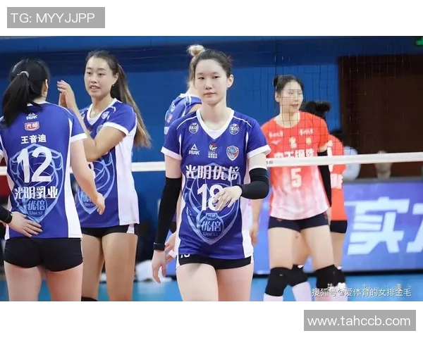 杭州排球队战术实力强劲荣登全国排球战术排行榜第三名