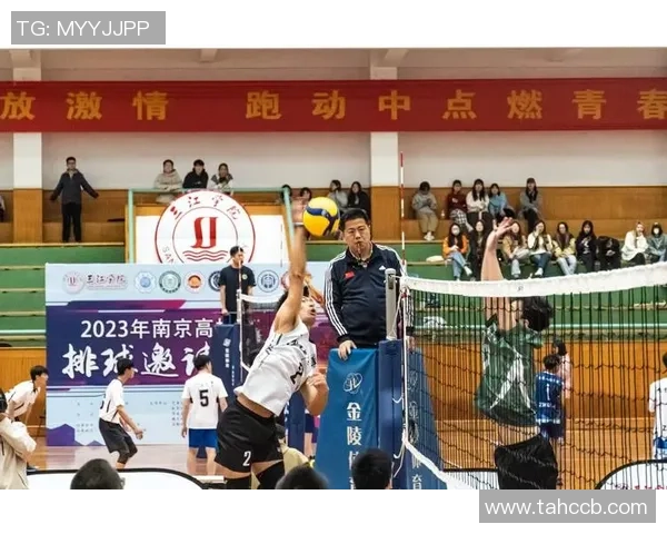 深圳排球队在锦标赛中的团队协作展现出色值得称赞的表现与启示